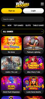 Win Diggers Online Casino Evaluation (2025 )